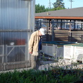 Dick Watts Inspecting Greenhouse