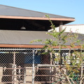 School Livestock Area