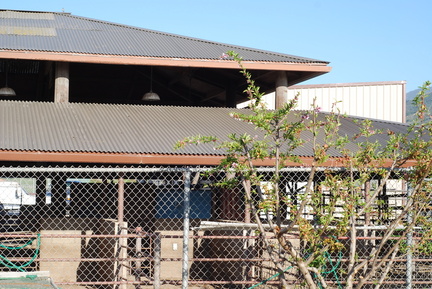 School Livestock Area