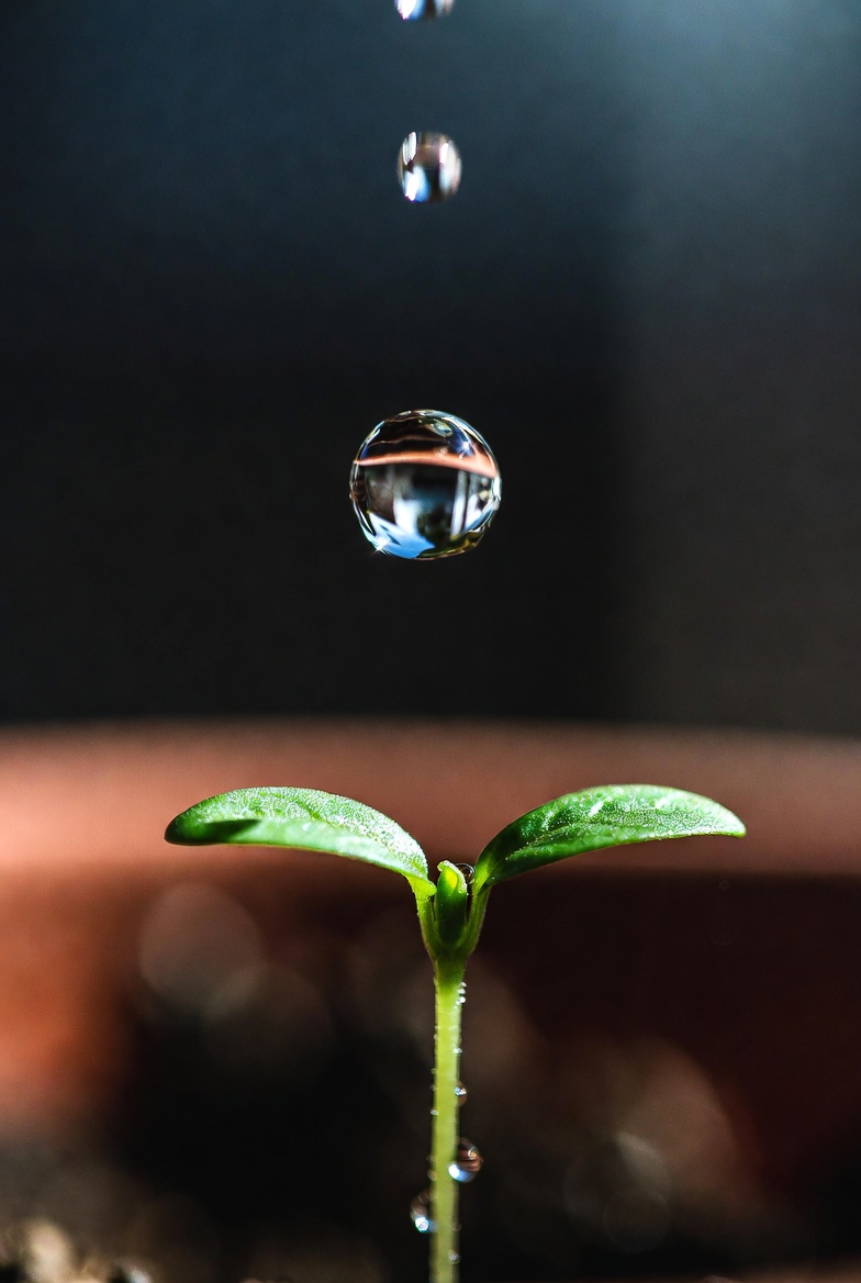 Drip & Other Irrigation Methods